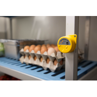 ThermaData Lite 