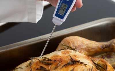 Kalem Tipi - Su Geçirmez Termometre