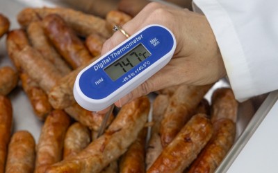 T Tipi 300 mm Termometre