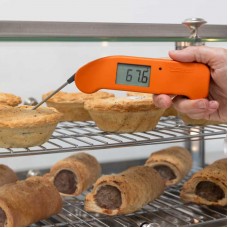 ThermaPen One
