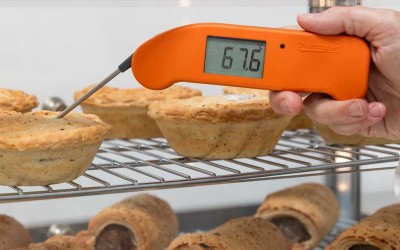 ThermaPen One