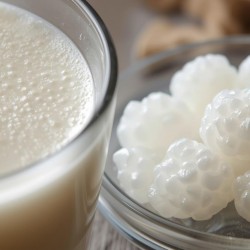 KEFİR KÜLTÜRLERİ